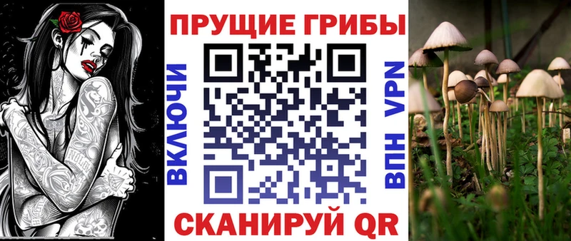 Псилоцибиновые грибы прущие грибы  Купить где  Гусь-Хрустальный 